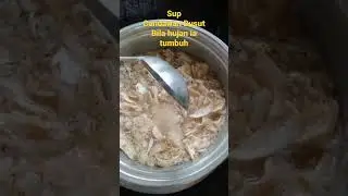 Sup Cendawan Busut Bila Hujan ia Tumbuh 