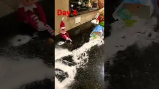 Elf Shenanigans Day 4- there in my sugar!