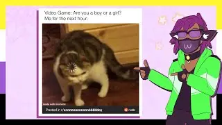 Nonbinary Memes Because Why Not?