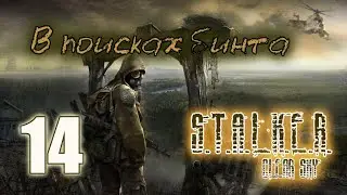 Stalker: Clear Sky #14. Amber