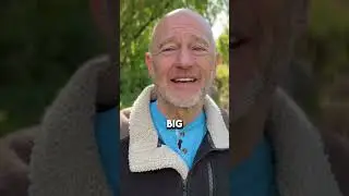 The Secret To Becoming A Millionaire
