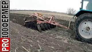 Peeling of sticks in February.