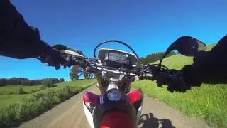 CRf250L wheelies