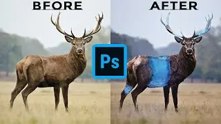 Glass deer Photo-manipulation | Time lapse