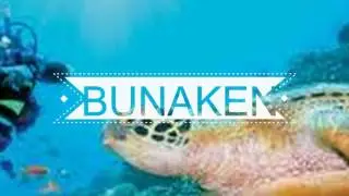 [THE BEST! ] 10 Top Tourist Attractions in Indonesia  - Part 2
