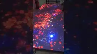 Floor LED interactive technology.
