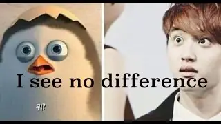 Funny Moments in Kpop 1 [EXO BAP VIXX BTS KNK MonstaX SHINee Seventeen BTOB]