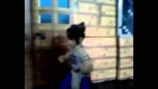 Los 2 Idiotas
