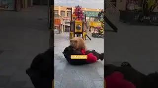 У промоутеров свой Бойцовский клуб