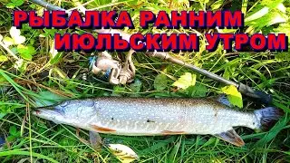 Рыбалка на щуку летом. Раннее утро.