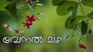 A Rainy day || വേനൽ മഴ || പുതുമഴ
