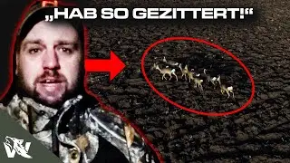 ABSCHUSS! Rollo PIRSCHT sich an Rehwild an! | JAGD