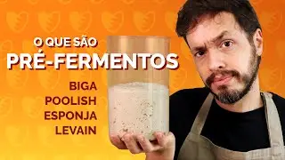 WHAT ARE PRE-FERMENTS: Biga, Poolish, Sponge, Pâte Fermentée and Levain