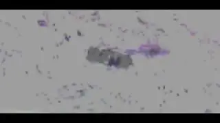 МОЕ ИНТРО!!ПЕРЕЗАГРУЗКА КАНАЛА!!!