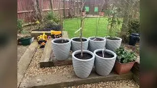 Anh 8 Growing Pots
