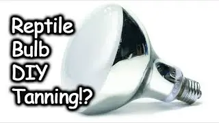 DIY Tanning & Vitamin D Using Reptile UV Bulb!