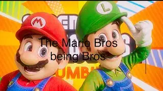 The Mario Bros being brothers for five minutes