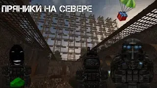 ПРЯНИКИ НА СЕВЕРЕ | STALCRAFT EU STEAM | СТАЛКРАФТ