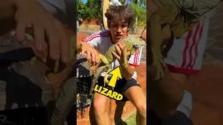 Meeting NEW PETS (Exotic Animals) 