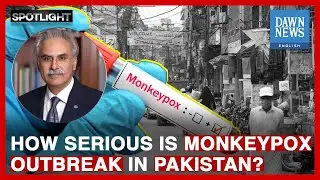 How Serious Is Monkeypox Outbreak In Pakistan? | Dr Zafar Mirza | Spotlight | Dawn News English