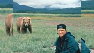 Caso: Timothy Treadwell, O homem que deu sua vida pelos ursos, E FOI DEVORADO!