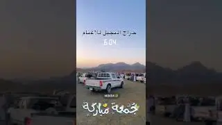 تغطية حراج النجيل الجمعة 1446/2/12