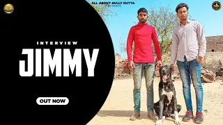 Jimmy Granddaughter Of Pak Import Black Cobra || All About Bully Kutta ||