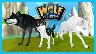 Wolf: The Evolution