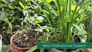 BE STRONG AND NEVER GIVE UP  | Motivational Speech