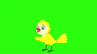 tuni bird free greenscreen || free green screen || no copyright greenscreen bd