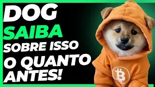 DOG GO TO THE MOON FAÇA ISSO AGORA MESMO
