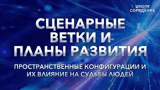 Сценарные ветки и планы развития 