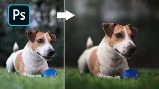 Como desenfocar el fondo de una foto en Photoshop | Tutorial Photoshop | Efectos Photoshop