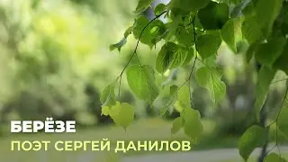 Поэт Сергей Данилов - Березе