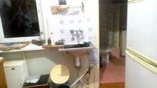 🔳 Кот спит в раковине!🔲