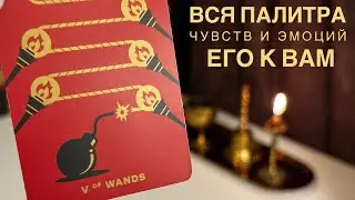 Вся палитра чувств и эмоций его к вам.