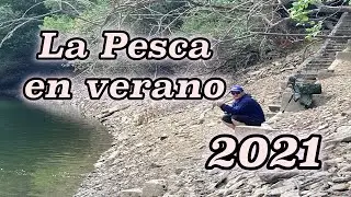 black bass en verano lobina en verano