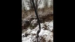 Fiskars уже не тот!