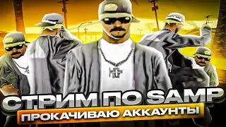 ПРОКАЧИВАЮ АККАУНТЫ ПОДПИСЧИКАМ В ГТА САМП/ В GTA SAMP НА EVOLVE RP /ARIZONA RP/SAMP RP/CRMP/GTA 5