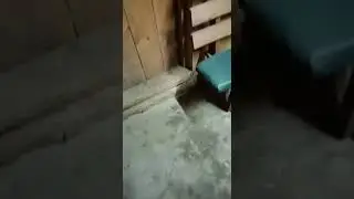 Двёрки