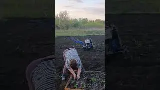 ГРЯДКА ПОД КЛУБНИКУ.