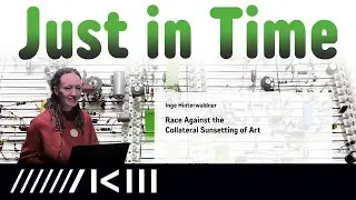 Inge Hinterwaldner: Race Against the Collateral Sunsetting of Art