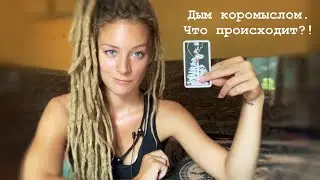 What period, what's going on?!) Helpful Tarot layout with humor