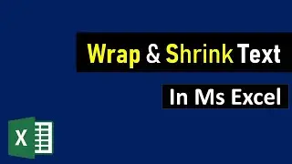 Wrap & Shrink Text in Ms Excel