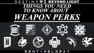 Destiny 2 Weapon Perks Explained
