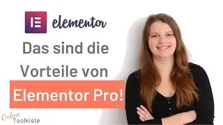 Elementor Pro vs. Free: Die Vorteile der Pro Version!