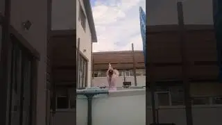 7 августа 2024 г.