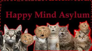 HAPPY MIND ASYLUM