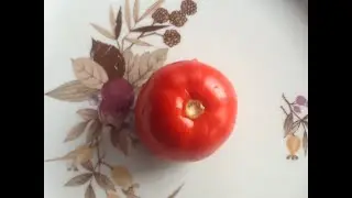Дегустация томата 