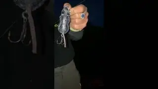 Пробовали такую оснастку ???